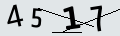 verifycode